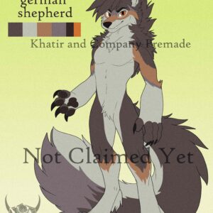 Koda - German Shepherd