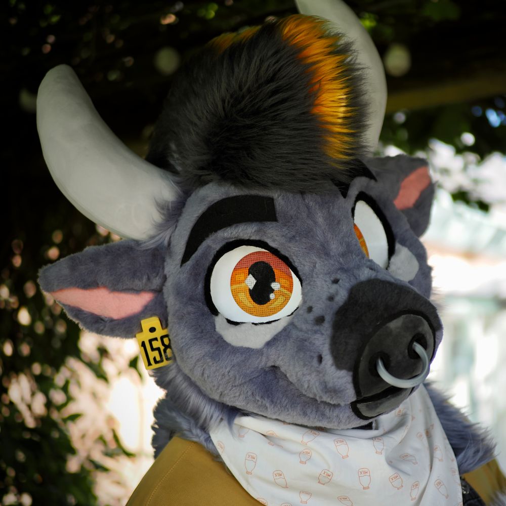 Hamish – Bull